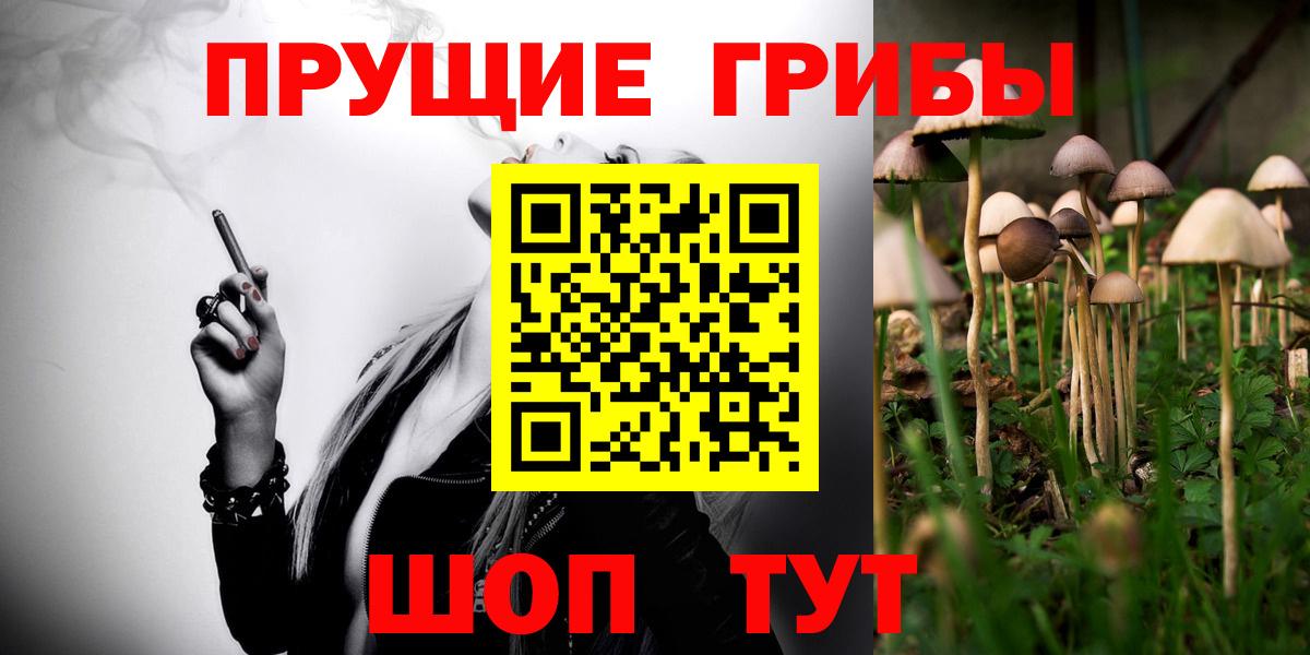 Тулун  Галлюциногенные грибы мухоморы  Вход с VPN  Галлюциногенные грибы MAGIC MUSHROOMS 